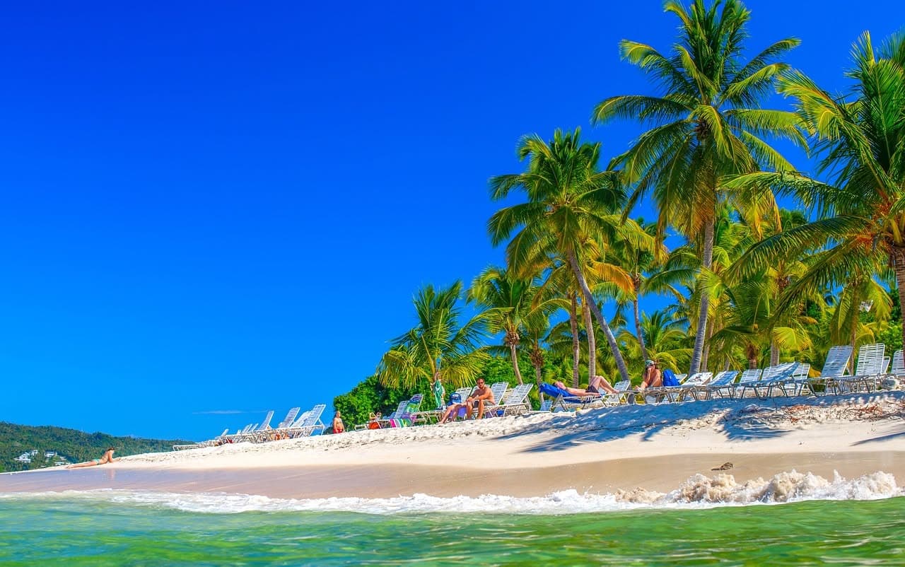 Los Haitises & Cayo Levantado Tour from Las Terrenas | $79 Ecotour Adventure - Photo 5 (Gallery view)