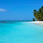 Punta Cana: Catamaran to Saona Island with Lunch & Open Bar - Photo 4 (Gallery view)