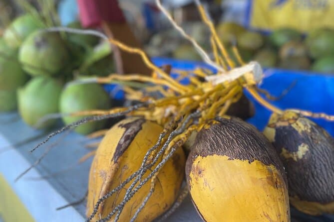 Little Havana Walking Tour with Optional Lunch or Rum Upgrade