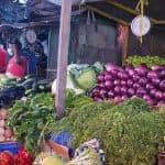 Din Puerto Plata Priv: cacao, cafea, trabucuri și piață locală - Photo 3 (Gallery view)