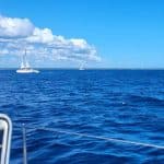 Isla Saona Day Trip From Santo Domingo with Lunch