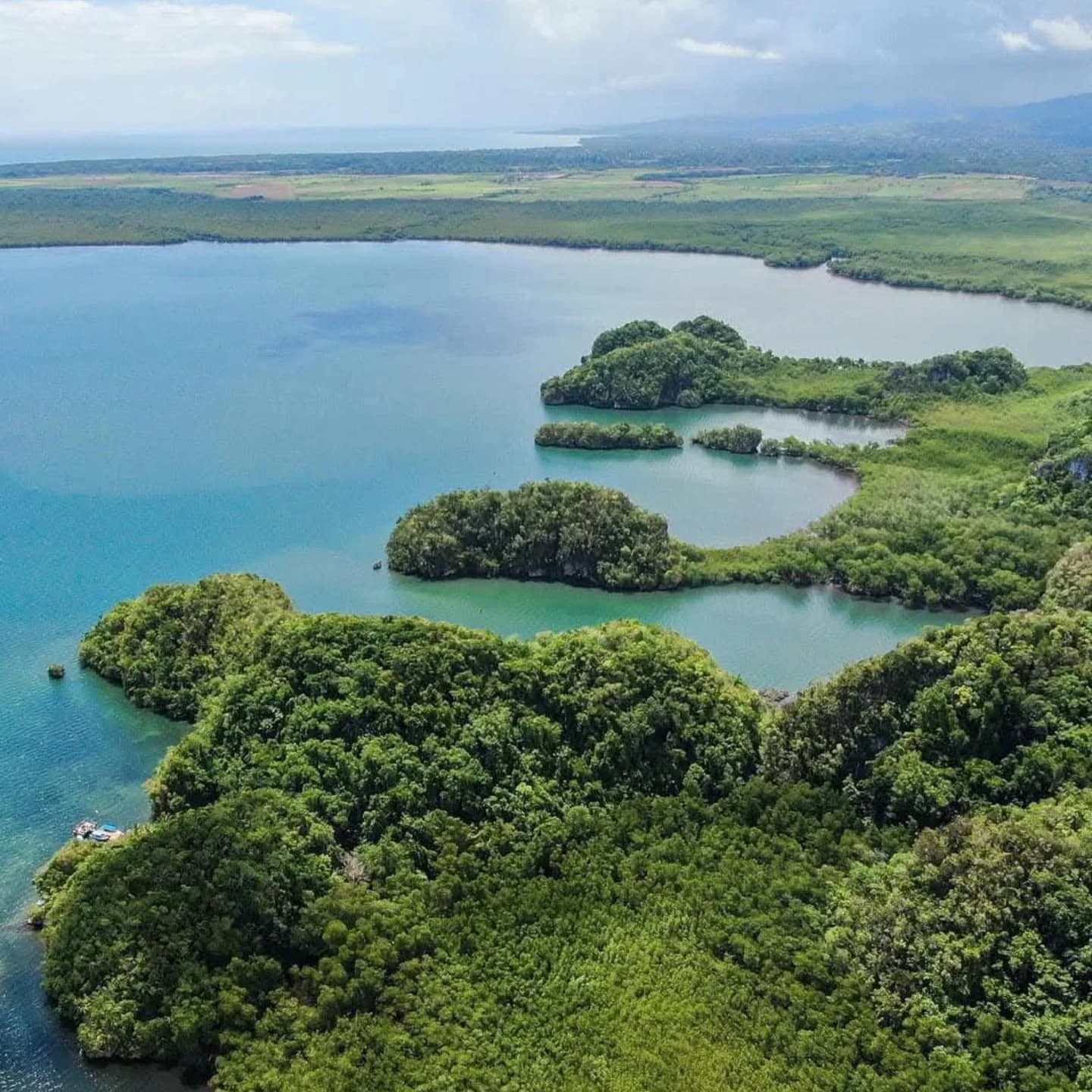 Los Haitises National Park: Private Boat Tour from Caño Hondo - Photo 3 (Gallery view)