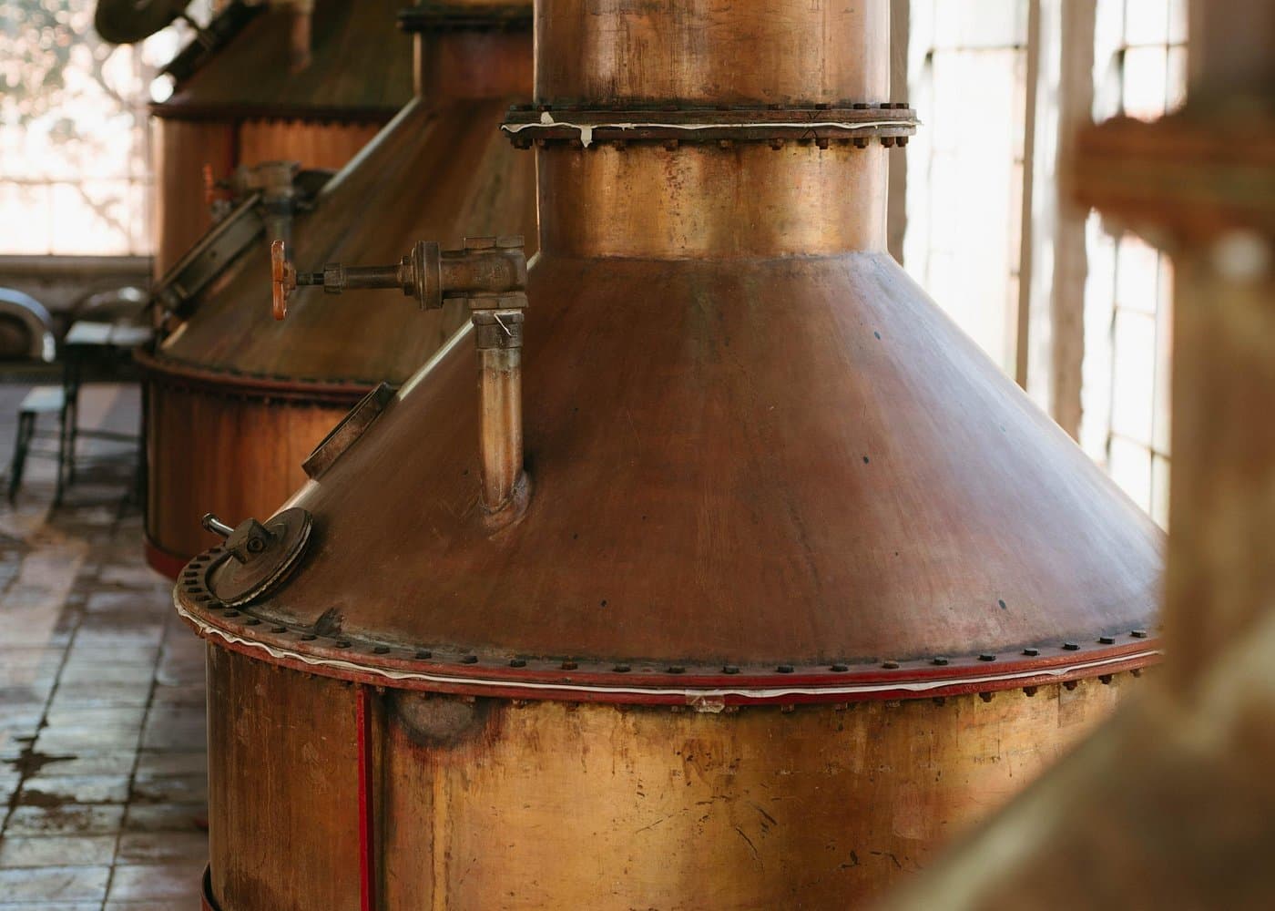Full-Day Tour in Tequila factory and Cantaritos el Gúero