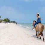 Punta Cana: Horseback Riding Through the Beautiful Beaches - Photo 2 (Gallery view)