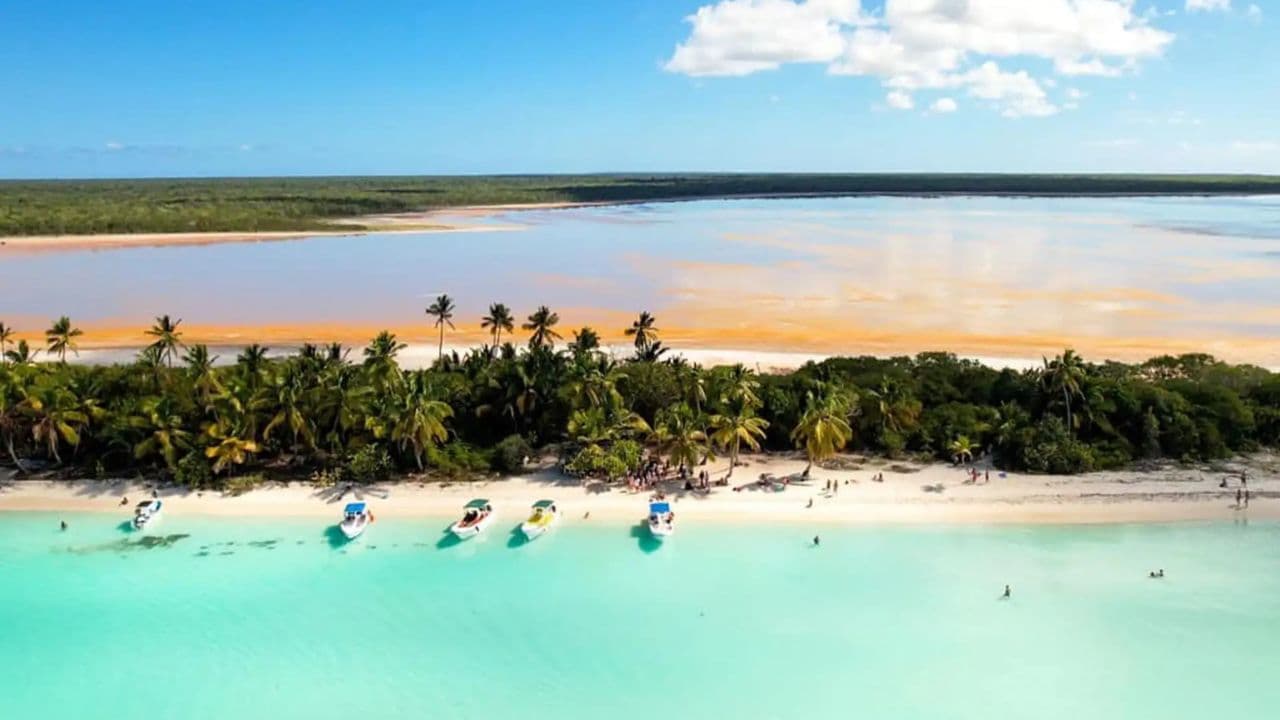 Explora la Experiencia: Tours de Punta Cana a Isla Saona