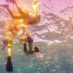 La Romana: Catalina Adası Tam Gün Şnorkelli Dalış Turu - Photo 3 (Gallery view)