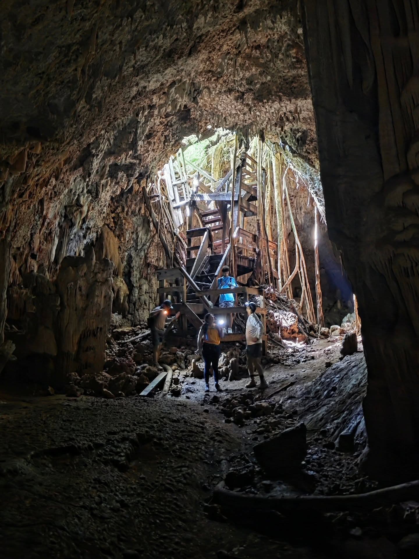 Los Haitises All In One (Kayaking, Hiking, Boating, Caving, Swimming Natural Pool & Lunch) From Las Terrenas - Dominican Republic