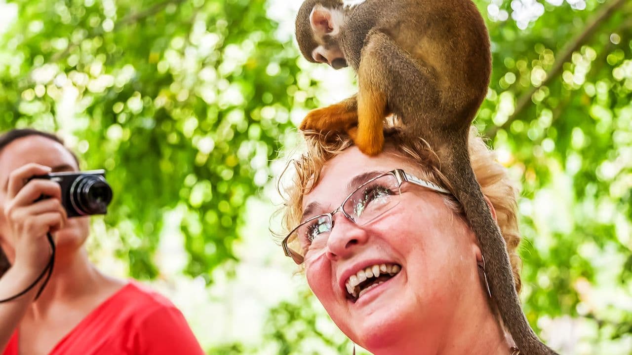 Monkeyland tour + Transportation from cruise/hotel