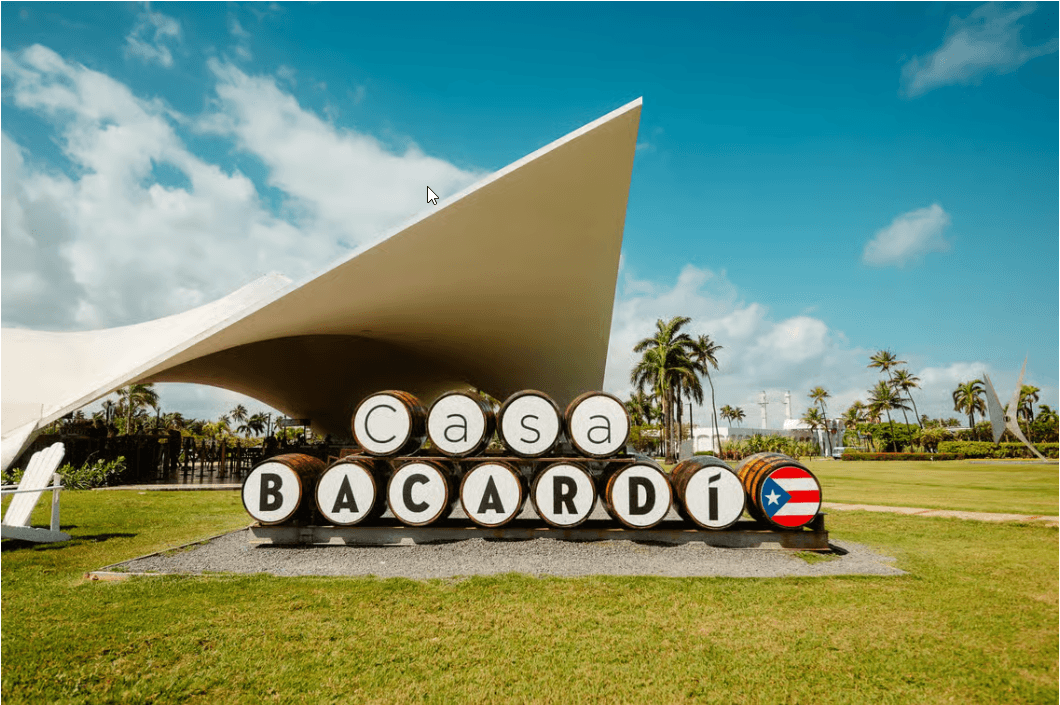 San Juan: tour della distilleria Casa Bacardi - Photo 3 (Gallery view)