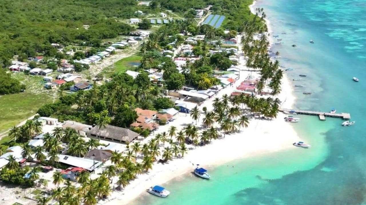From La Romana: Saona Island for Carnival Cruises Passengers