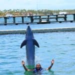 Punta Cana Dolphin Swim Adventure: 40-min Dolphin Experience - Photo 2 (Gallery view)