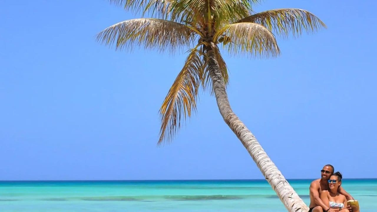 From Santo Domingo: Isla Saona Full-Day Tour with Lunch - Photo 5 (Gallery view)