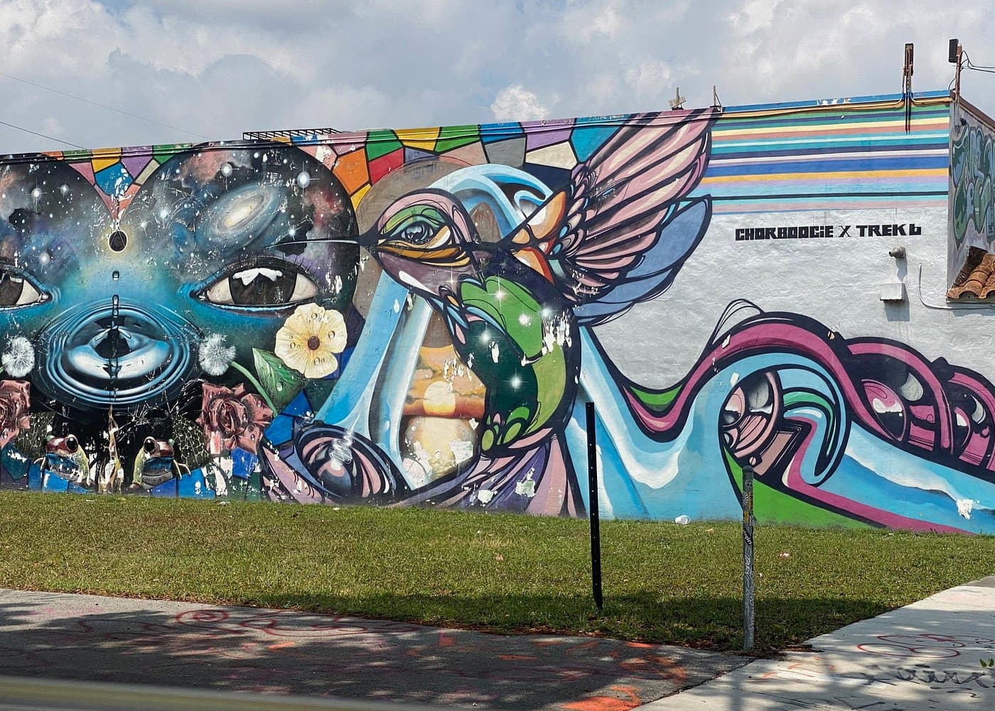 Little Havana and Wynwood Walls District Guided Tour