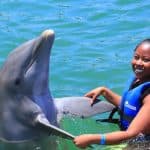 Dolphin Swim in Punta Cana – Best 60-min Dolphin Discovery