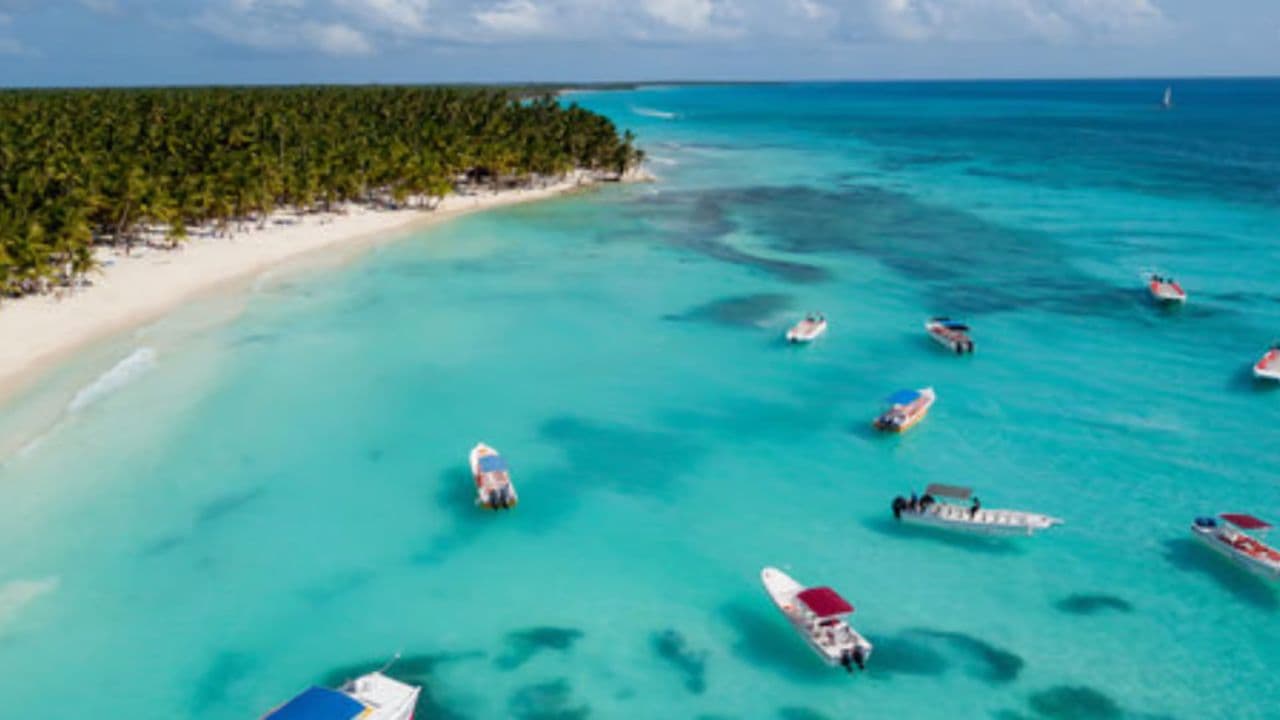 Saona Island Full Day Catamarán Food and Drink included - Photo 5 (Gallery view)