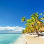 Journée complète sur l'île Saona avec prise en charge à votre hôtel à Punta Cana - Photo 4 (Gallery view)