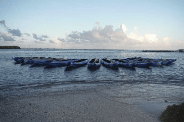 From San Juan: Bioluminescent Bay Kayak Adventure at Night - Photo 3 (Gallery view)