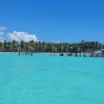 Isla Saona Day Trip From Santo Domingo with Lunch
