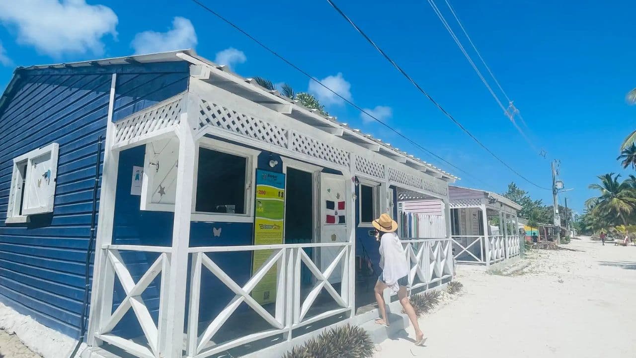 Santo Domingo: Saona Island full-day tour all-inclusive