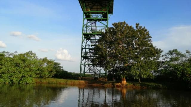 Caño Negro: Wildlife Discovery Tour - Photo 3 (Gallery view)