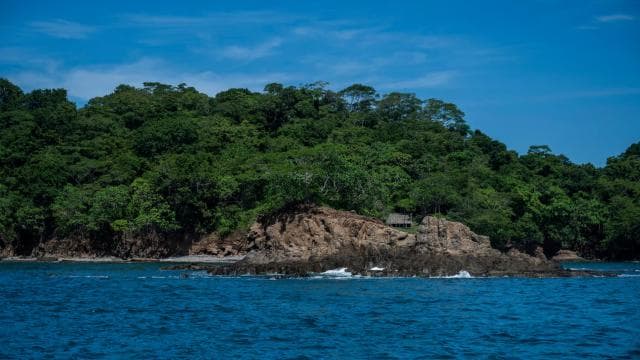 ISLA TORTUGA DESDE SAN JOSÉ - Photo 2 (Gallery view)