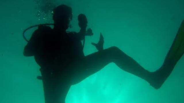 Papagayo Gulf: 2 Dives Half-Day Scuba Dive Tour