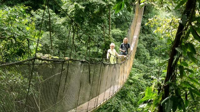 Manuel Antonio: Rainmaker Park Bridge & Waterfall Tour