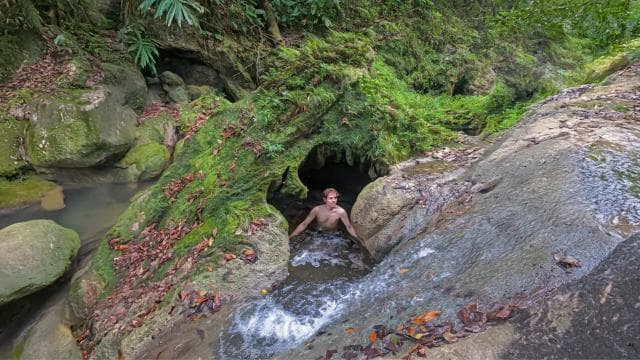 Discover a Hidden Paradise & Learn about Plants.