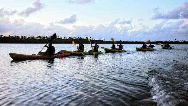 Fajardo: Bio Bay Kayak Tour - Photo 5 (Gallery view)