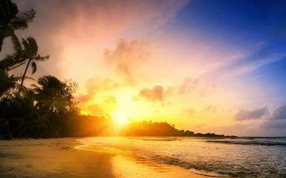 Punta Cana: Sunset Horseback Ride in Macao Beach and Forest