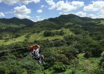 Privát: Punta Cana Jungle 12 kábeles Zipline Adventure - Photo 3 (Gallery view)