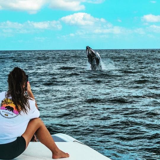 Miches Whale Watching + Laguna Limón Kayaking Tour — Meeting Point in Miches - Photo 5 (Gallery view)