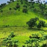 Dominican Culture Immersion: All Inclusive Day Trip