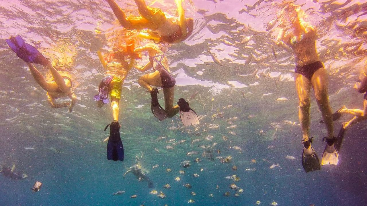Catalina island snorkel with Food and drinks (Full Day) - Photo 3 (Gallery view)