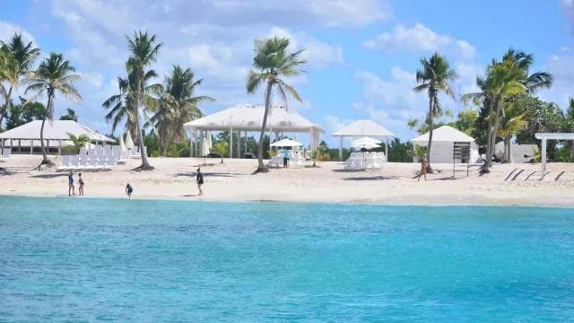 Punta Cana: Vwayaj Jounen Catalina Island ak plonje - Photo 3 (Gallery view)