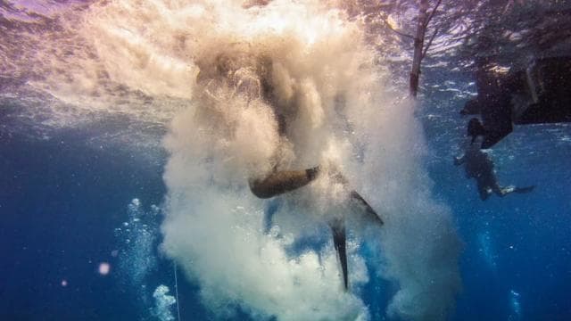 Catalina Island Scuba Diving Tour from Punta Cana - Dominican Republic