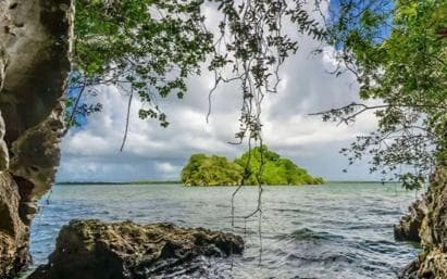 Samaná privé : parc Los Haitises, visite de Caño Hondo et Yanigua - Photo 3 (Gallery view)