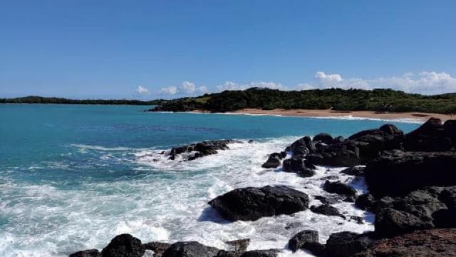 Fajardo: Hidden Beach and Mangrove Tour