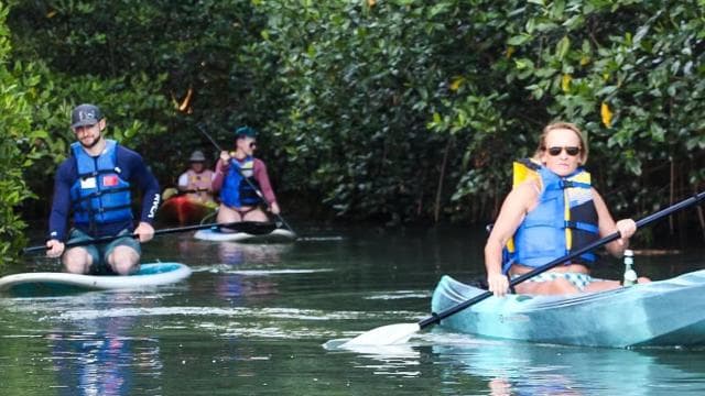 Nosara: Rio Montana Mangrove SUP or Kayak Tour - Photo 2 (Gallery view)