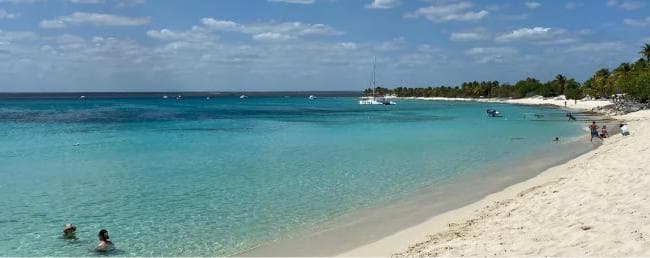 Punta Cana: Catalina Island Snorkeling and lunch Day Trip - Dominican Republic