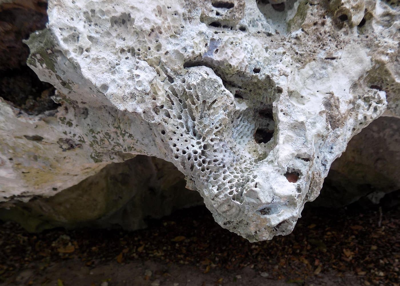 Green Grotto Excursion from Negril - Photo 2 (Gallery view)