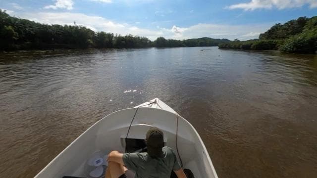 Costa Rica Mangrove Tour: Terraba National Wetlands - Uvita - Dominican Republic