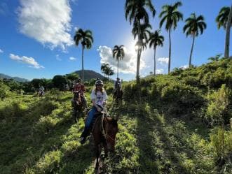 Private: Zip-Line & Horseback Combo in Puerto Plata