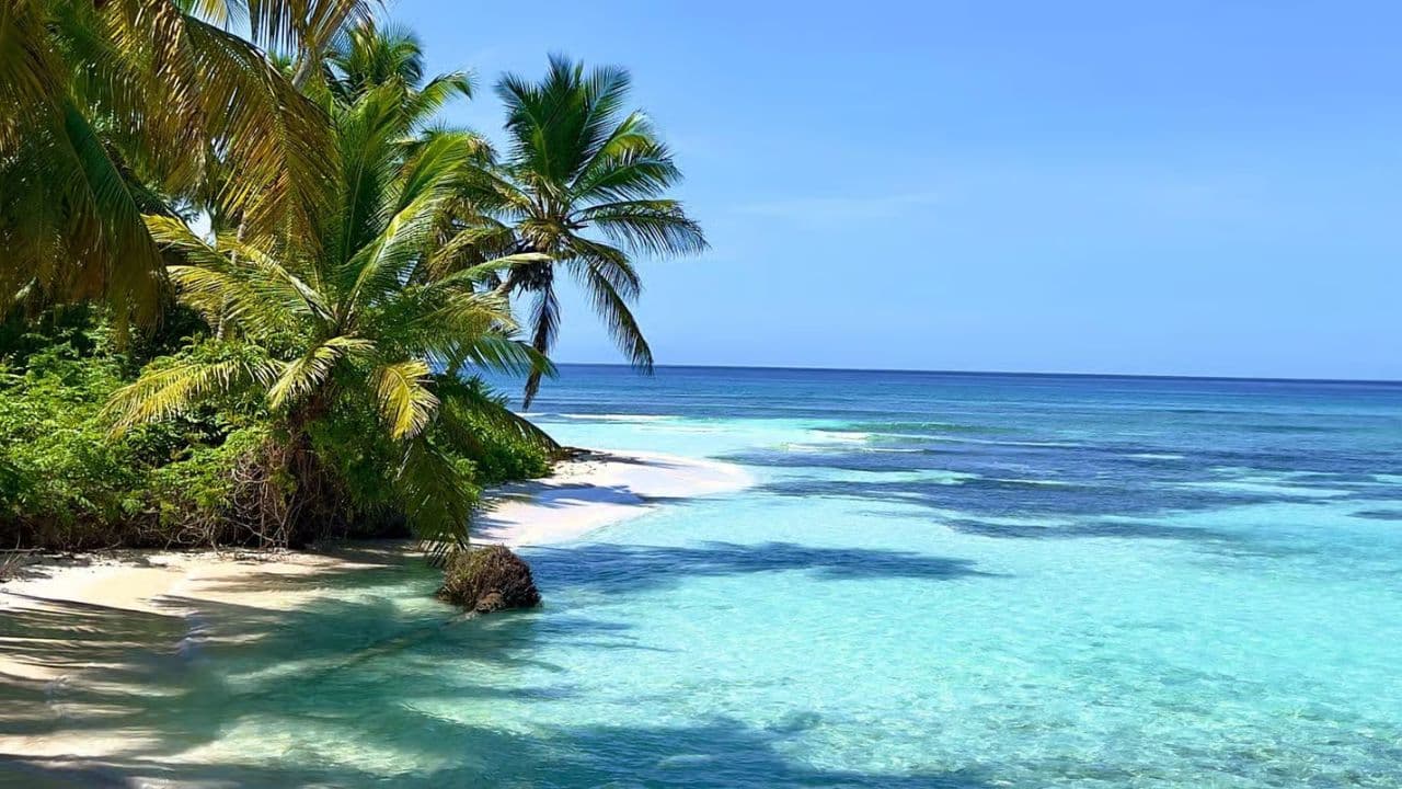 Punta Cana: City Tour, Macao beach, food & shopping