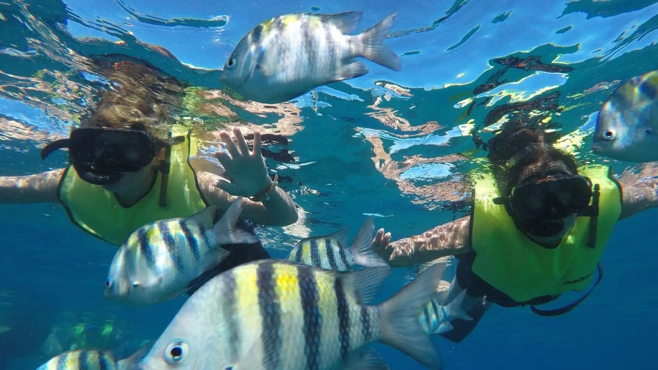 Scuba Dive in Sosua Cabarete