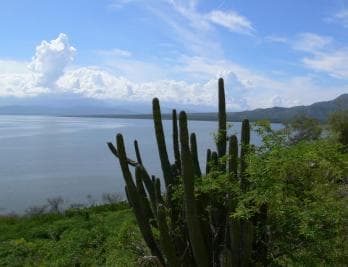 Barahona: Lake Enriquillo Discovery Tour