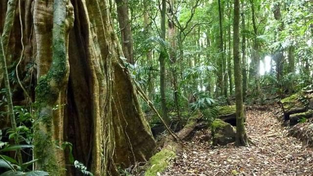 Monteverde: Curi-Cancha Reserve Tour with Entry Ticket