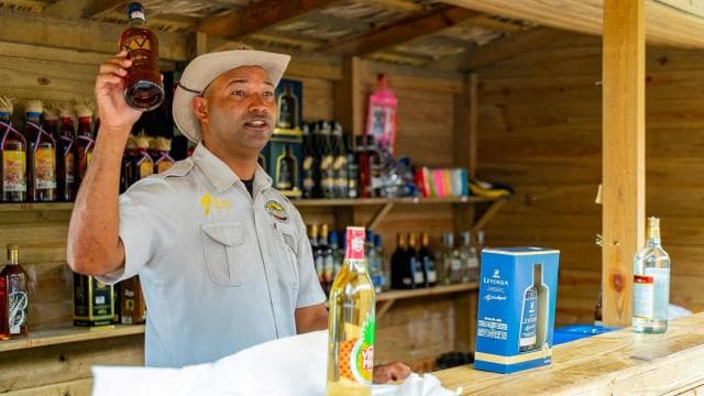From Punta Cana: Full-Day Island Tour with Lunch