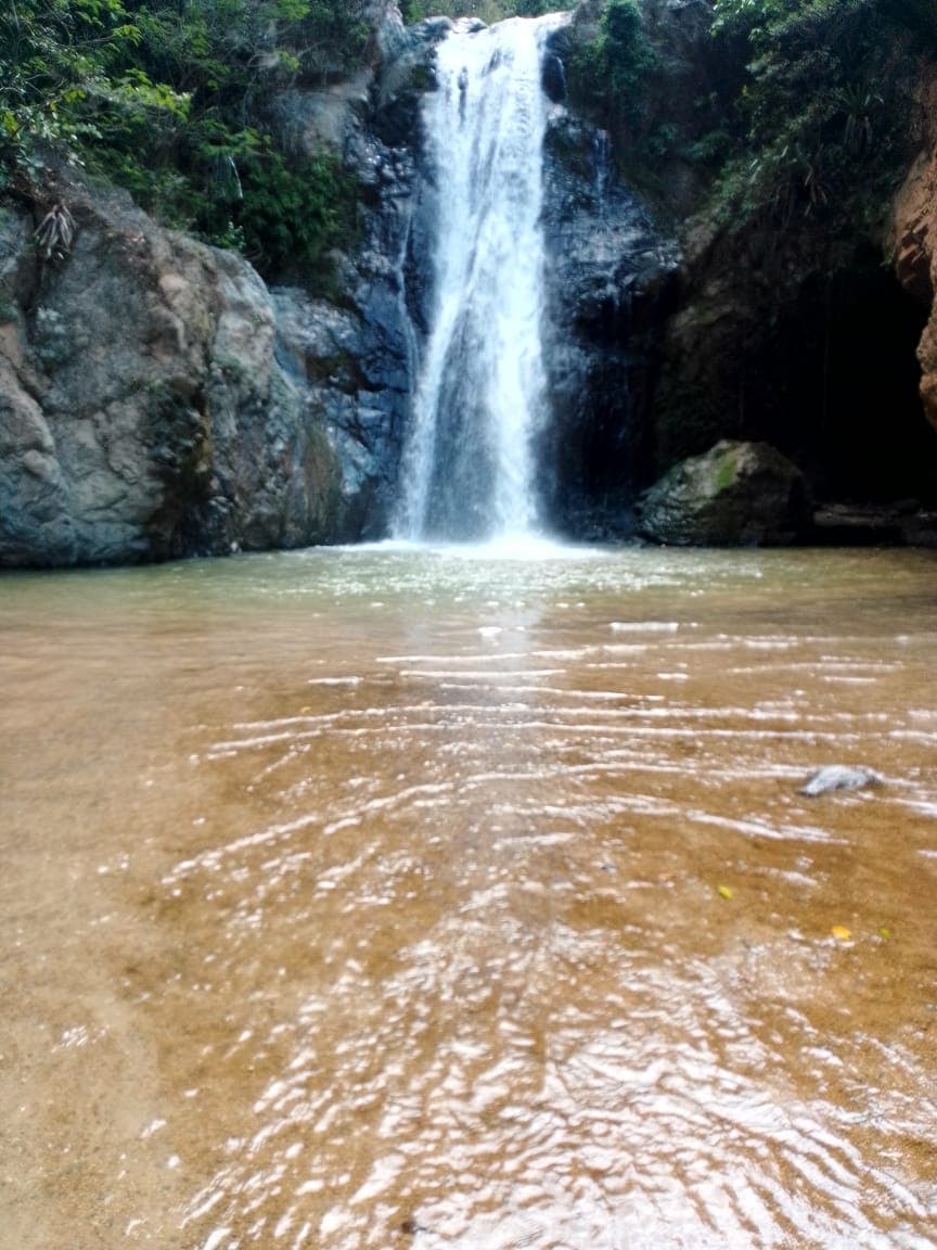 Jarabacoa: Horseride Excursion to Salto Baiguate Waterfall (Copy) - Dominican Republic