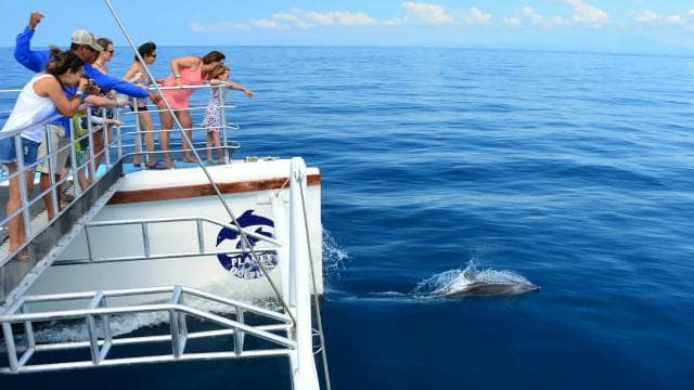 Flamingo, Guanacaste: Catamaran Trip with Lunch and Drinks